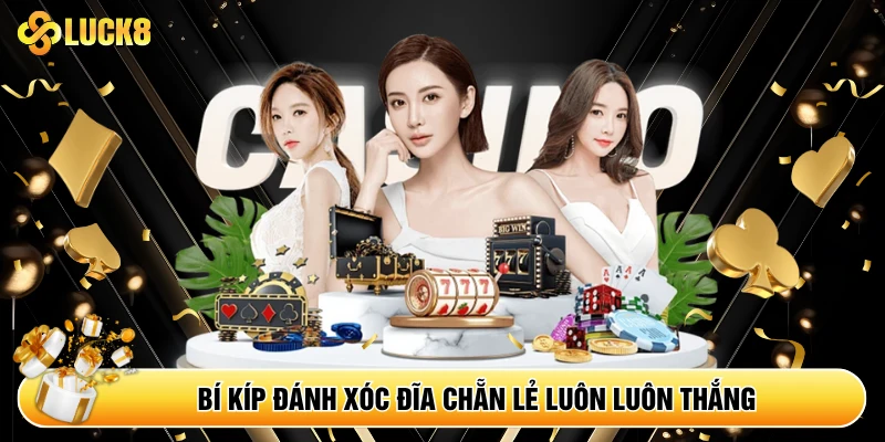 Xóc Đĩa - Tựa Game Dân Gian Thu Hút Mọi Tín Đồ Casino - Kamepo
